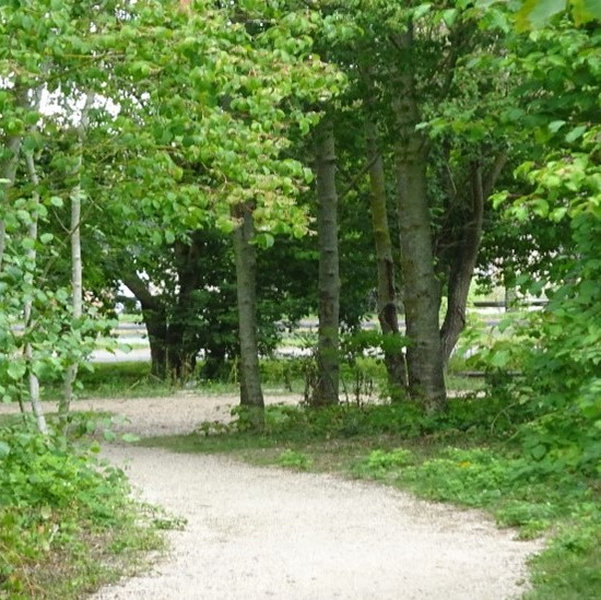 VISITE BOTANIQUE